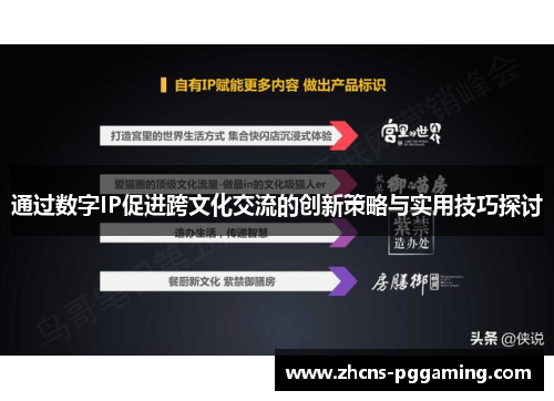 通过数字IP促进跨文化交流的创新策略与实用技巧探讨