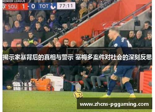 揭示家暴背后的真相与警示 塞梅多案件对社会的深刻反思