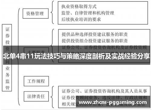 北单4串11玩法技巧与策略深度剖析及实战经验分享