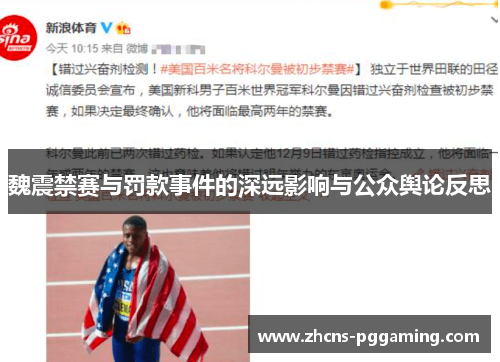 魏震禁赛与罚款事件的深远影响与公众舆论反思