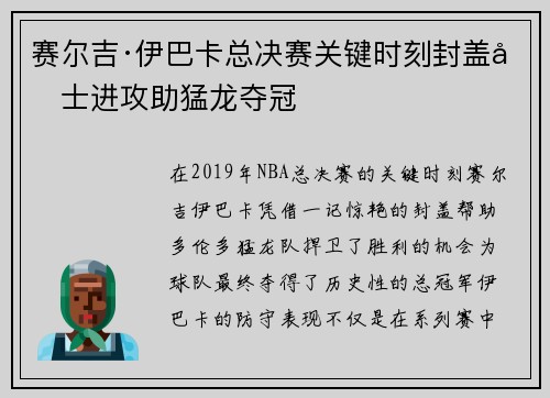 赛尔吉·伊巴卡总决赛关键时刻封盖勇士进攻助猛龙夺冠