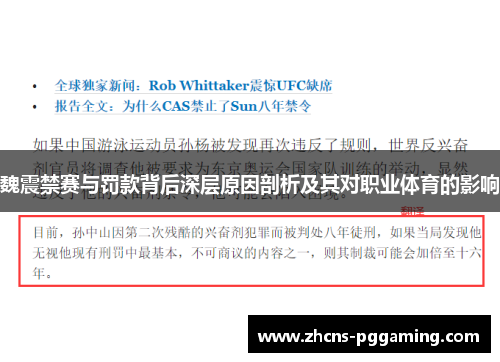 魏震禁赛与罚款背后深层原因剖析及其对职业体育的影响